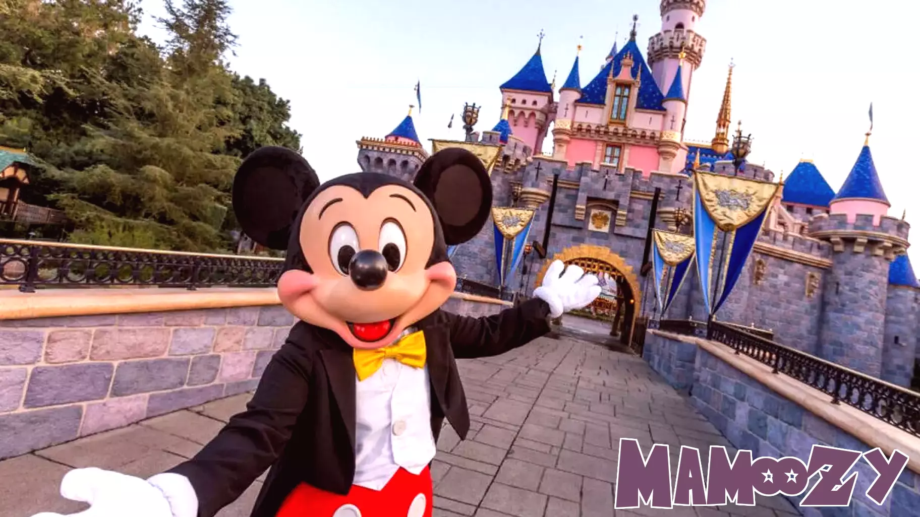 Mickey Mouse Delivers Tough Love Parenting Lesson at Disney Park